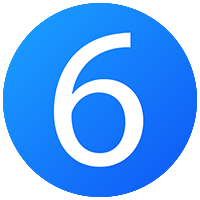 6